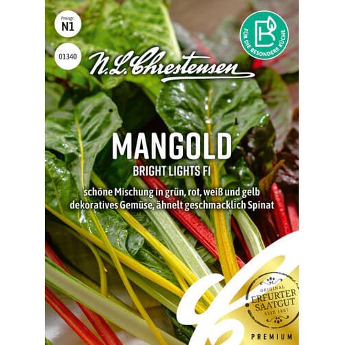 Mangoldai Bright Lights F3 interface.art foto 1 Mangoldai Bright Lights F3 interface.image 1 interface.art 87845