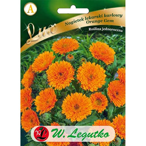 Marigold Orange Gem interface.art foto 1 Marigold Orange Gem interface.image 1 interface.art 86749