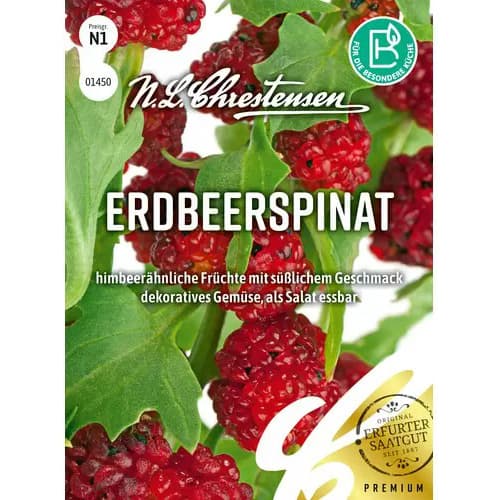 Marjamalts interface.image 1 interface.art 96472