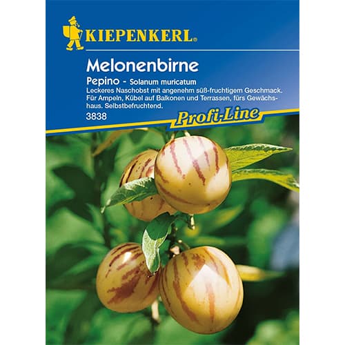 Melon-maavitsad interface.image 1 interface.art 86478