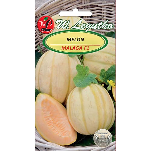 Melon Malaga F1 interface.art foto 1 Melon Malaga F1 interface.image 1 interface.art 86855