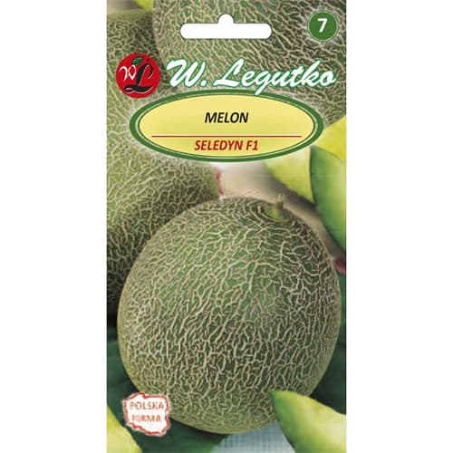 Melon Seledyn F1 interface.art foto 1 Melon Seledyn F1 interface.image 1 interface.art 69495