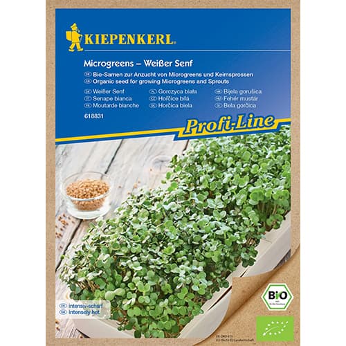 Mikrovõrsed BIO Microgreens Weißer Senf interface.art foto 1 Mikrovõrsed BIO Microgreens Weißer Senf interface.image 1 interface.art 87775