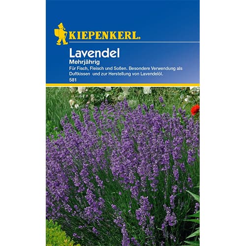 Mitmeaastane lavendel interface.art foto 1 Mitmeaastane lavendel interface.image 1 interface.art 77418