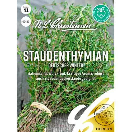 Mitmeaastane tüümian Deutscher Winter Chrestensen interface.image 1 interface.art 50056