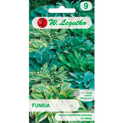 Mustikas (Hosta), segu Legutko interface.image 1 interface.art 78600