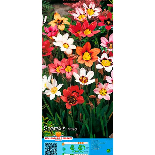 Narriõis Mixed interface.art foto 1 Narriõis Mixed interface.image 1 interface.art 76500