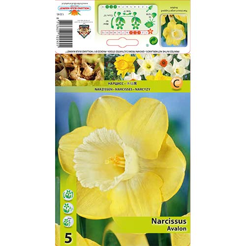Nartsiss Avalon interface.art foto 1 Nartsiss Avalon interface.image 1 interface.art 68064