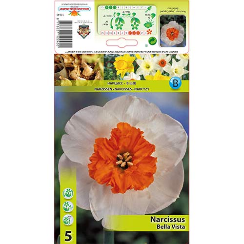 Nartsiss Bella Vista interface.art foto 1 Nartsiss Bella Vista interface.image 1 interface.art 67640