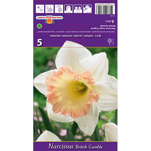 Nartsiss British Gamble interface.art foto 1 Nartsiss British Gamble interface.image 1 interface.art 67642