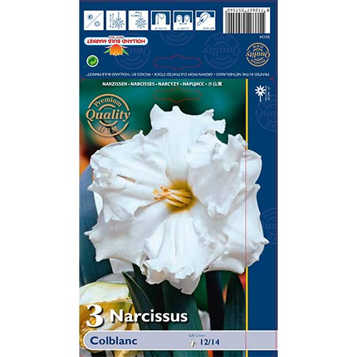 Nartsiss Colblanc interface.art foto 1 Nartsiss Colblanc interface.image 1 interface.art 67648