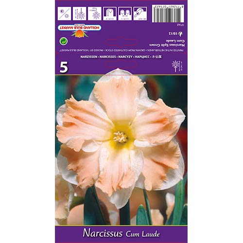 Nartsiss Cum Laude interface.art foto 1 Nartsiss Cum Laude interface.image 1 interface.art 68098
