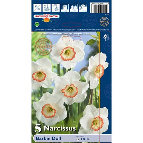 Nartsiss Doll interface.art foto 1 Nartsiss Doll interface.image 1 interface.art 67639