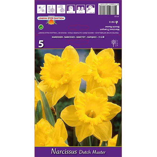 Nartsiss Dutch Master interface.art foto 1 Nartsiss Dutch Master interface.image 1 interface.art 67647