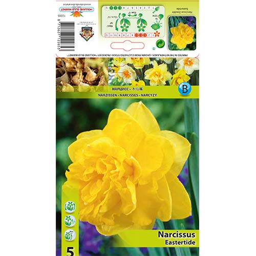 Nartsiss Eastertide interface.art foto 1 Nartsiss Eastertide interface.image 1 interface.art 70280