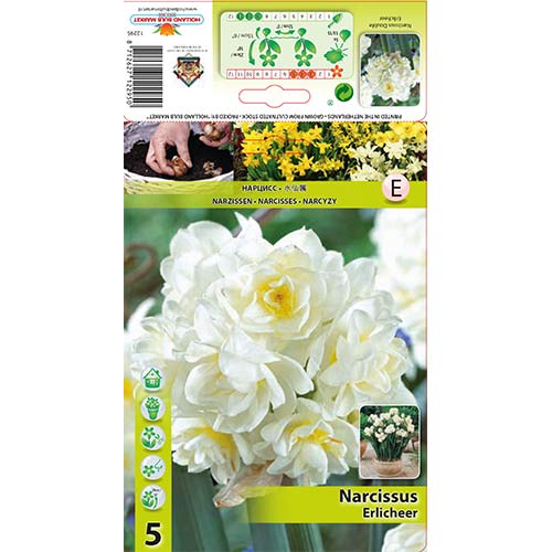 Nartsiss Erlicheer interface.art foto 1 Nartsiss Erlicheer interface.image 1 interface.art 70285