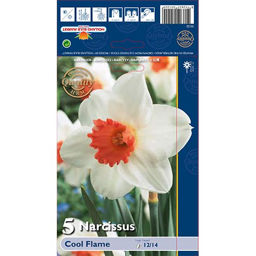 Nartsiss Flame interface.art foto 1 Nartsiss Flame interface.image 1 interface.art 67650