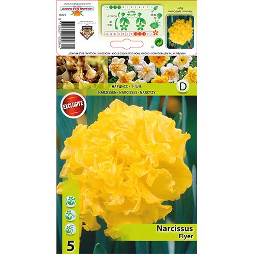 Nartsiss Flyer interface.art foto 1 Nartsiss Flyer interface.image 1 interface.art 67433