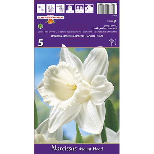 Nartsiss Mount Hood interface.art foto 1 Nartsiss Mount Hood interface.image 1 interface.art 70214