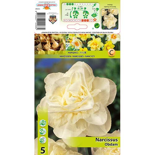 Nartsiss Obdam interface.art foto 1 Nartsiss Obdam interface.image 1 interface.art 70286