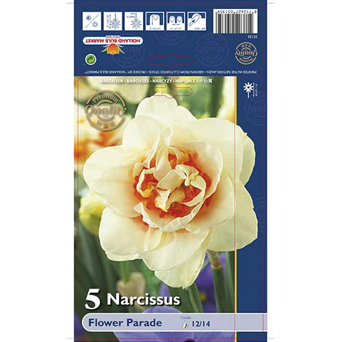 Nartsiss Parade interface.art foto 1 Nartsiss Parade interface.image 1 interface.art 67667