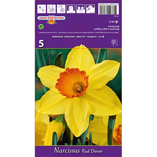 Nartsiss Red Devon interface.image 1 interface.art 67659