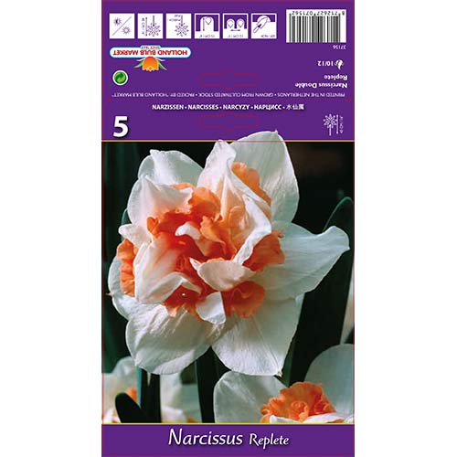Nartsiss Replete interface.art foto 1 Nartsiss Replete interface.image 1 interface.art 68071