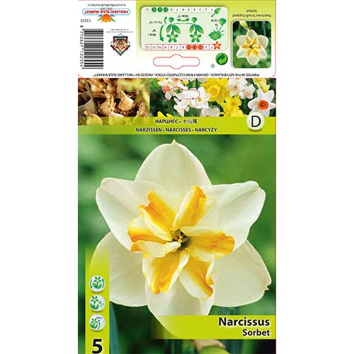 Nartsiss Sorbet interface.art foto 1 Nartsiss Sorbet interface.image 1 interface.art 67430