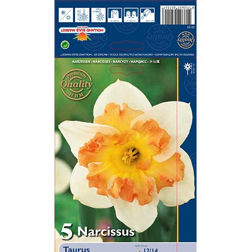 Nartsiss Taurus interface.art foto 1 Nartsiss Taurus interface.image 1 interface.art 68022