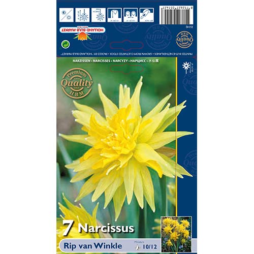 Nartsiss van Winkle interface.art foto 1 Nartsiss van Winkle interface.image 1 interface.art 67660
