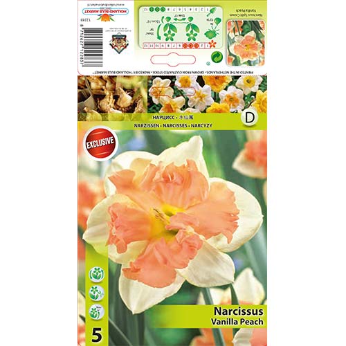 Nartsiss Vanilla Peach interface.art foto 1 Nartsiss Vanilla Peach interface.image 1 interface.art 67437