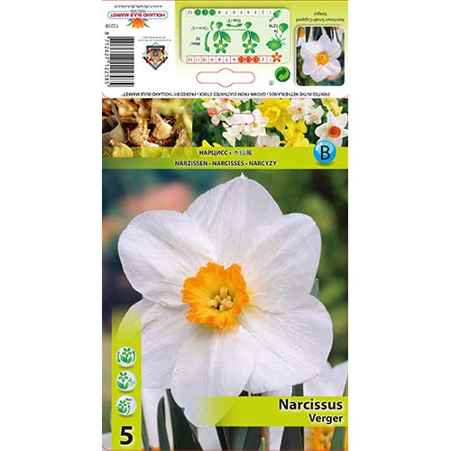 Nartsiss Verger interface.art foto 1 Nartsiss Verger interface.image 1 interface.art 70279