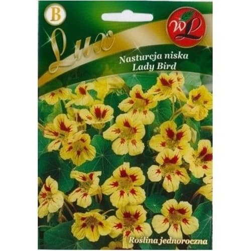 Nasturtium Lady Bird interface.art foto 1 Nasturtium Lady Bird interface.image 1 interface.art 86751