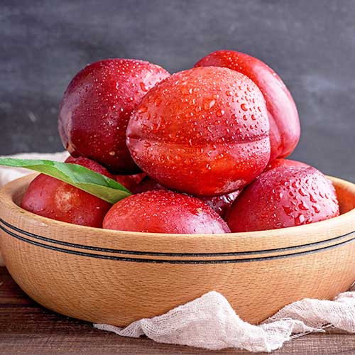 Nektariin Aeris, С2 interface.image 1 interface.art 6935