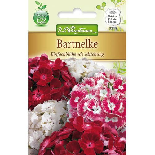 Nelgid, segu Chrestensen interface.image 1 interface.art 78955