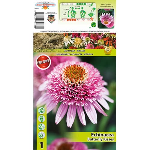 Päevakübar Butterfly Kisses interface.image 1 interface.art 77833