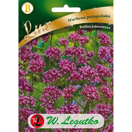 Patagoonia lilla verbena interface.art foto 1 Patagoonia lilla verbena interface.image 1 interface.art 86760