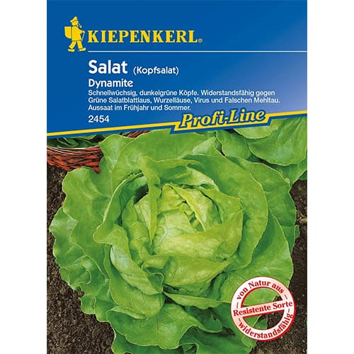 Peasalatid Dynamite Kiepenkerl interface.image 1 interface.art 86461