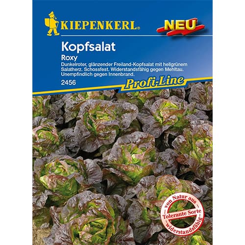 Peasalatid Roxy interface.image 1 interface.art 96627