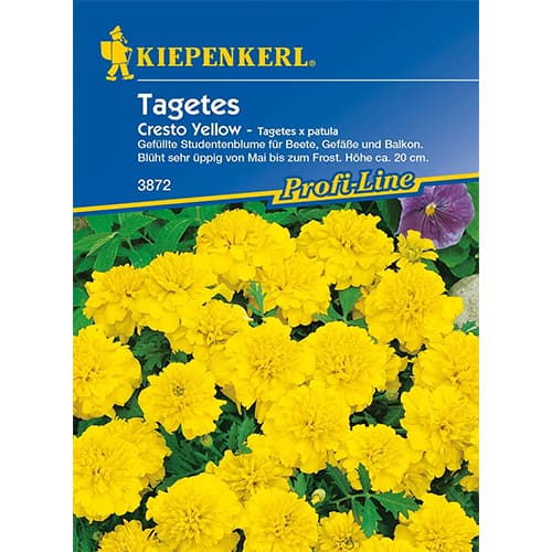 Peiulilled Cresto Yellow interface.art foto 1 Peiulilled Cresto Yellow interface.image 1 interface.art 86345