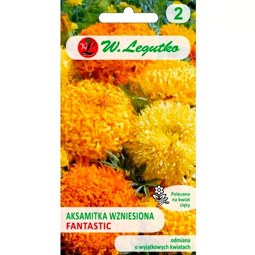 Peiulilled Fantastic kollane, segu Legutko interface.image 1 interface.art 69554