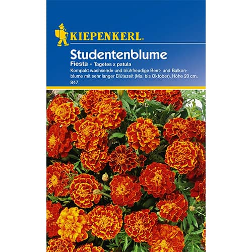 Peiulilled Fiesta Kiepenkerl interface.art foto 1 Peiulilled Fiesta Kiepenkerl interface.image 1 interface.art 77401