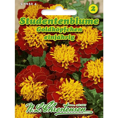 Peiulilled Goldköpfchen interface.image 1 interface.art 86207