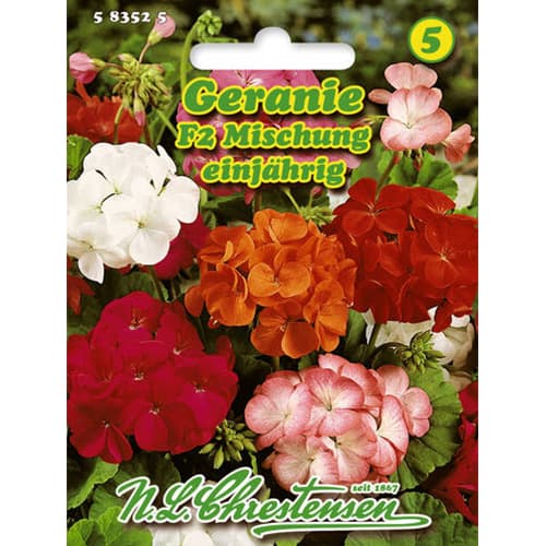 Pelargonium (Geranium) F2 , segu Chrestensen interface.art foto 1 Pelargonium (Geranium) F2 , segu Chrestensen interface.image 1 interface.art 78929