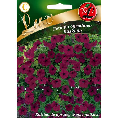 Petunia aed Cascade lilla interface.art foto 1 Petunia aed Cascade lilla interface.image 1 interface.art 78673