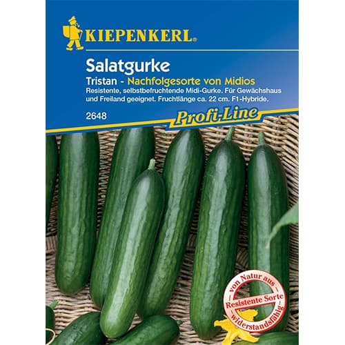 Pikad kurgid Midele Kiepenkerl interface.image 1 interface.art 50023