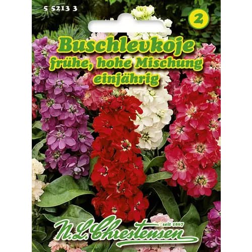 Pikad ristõielised, segu interface.image 1 interface.art 96438