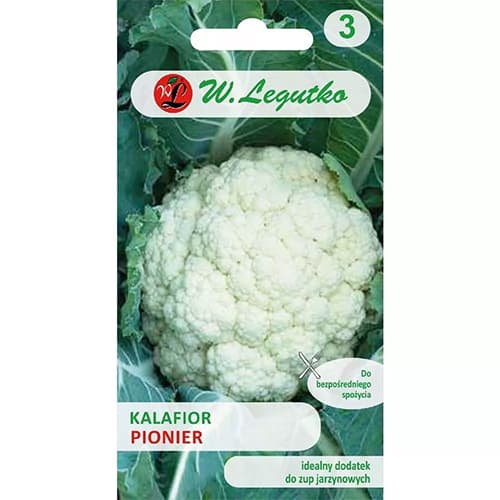 Pionier lillkapsas interface.art foto 1 Pionier lillkapsas interface.image 1 interface.art 78469