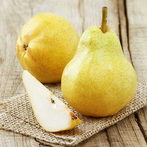 Pirn Highland interface.image 1 interface.art 7952