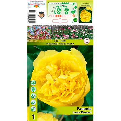 Pojeng Laura Dessert interface.image 1 interface.art 76614